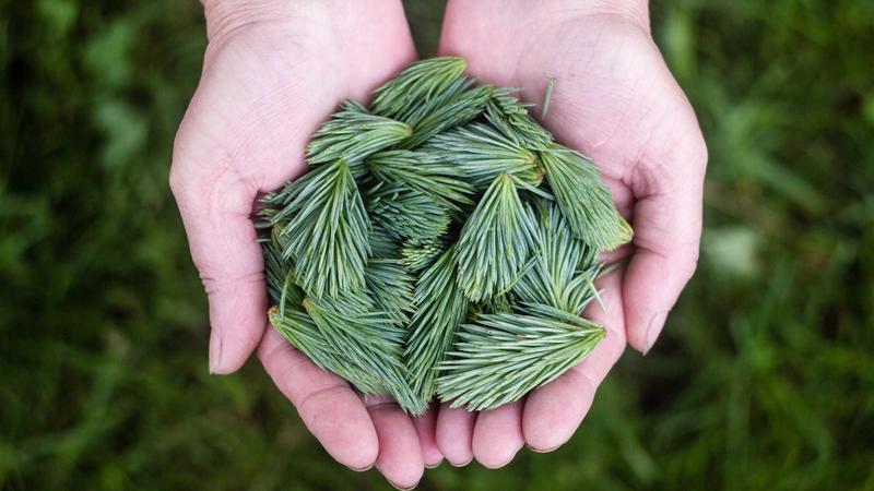 免费魅影直播app免费版下载安装影视页面主视觉